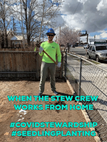 cpcutshaw giphygifmaker GIF