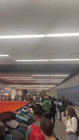Luggage Piles Up at JFK Baggage Claim Amid Large Crowds