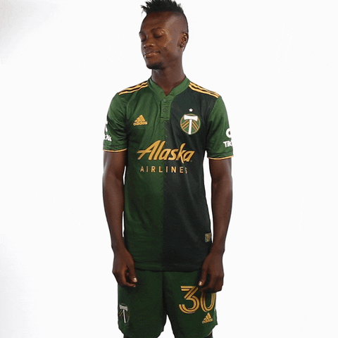 Portland Timbers No GIF by Timbers