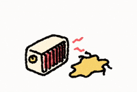 Cat Kitty GIF