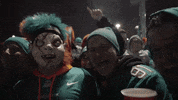 Miami Dolphins GIF by Dolfans NYC