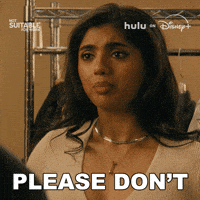 Please Dont Tv Show GIF by HULU