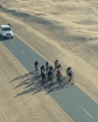 Dubai's Ruler Comes to Aid of Fallen Cyclist During Women's Race