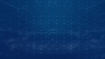 PiratiChomutov doktor goool jakub pirati GIF