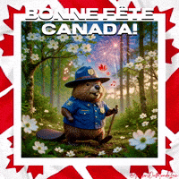 Humour Castor GIF by TresorsDuMonde.ca