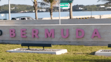 Caribbean Bermuda GIF by Bermemes