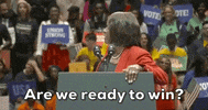 Florida GIF by GIPHY News