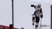 happy ice hockey GIF by NHL