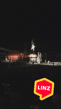 Horse Wow GIF by Linz News