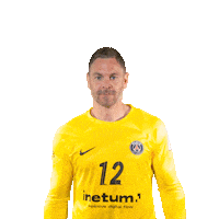 Andreas Palicka Sport Sticker by Paris Saint-Germain Handball
