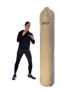 Kickboxing Sticker by FLY kickbox