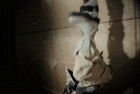 Look At Me GIF by ALLDAY PROJECT