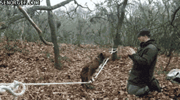 dog tricks GIF by Cheezburger