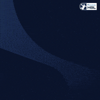 Handball Berlin GIF by DAIKIN HBL