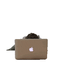 BaasenBaas computer laptop online marketing sander Sticker