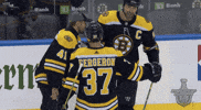 Ice Hockey Love GIF by NHL