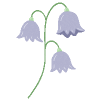 Flowers Bluebells Sticker
