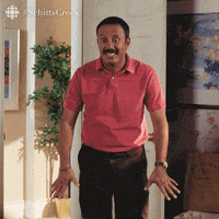 Excited Schitts Creek GIF by CBC