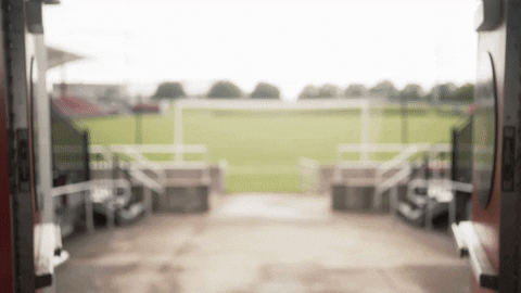 University Of Louisville Go Cards GIF by Louisville Cardinals