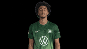 France No GIF by VfL Wolfsburg
