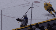 Celebrate Ice Hockey GIF by NHL