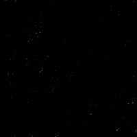 Human Rights News GIF by Creative Courage