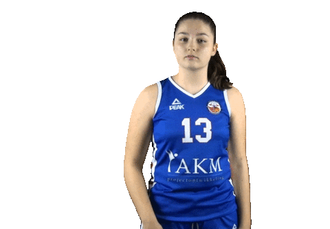 Cbvbinnenland Sticker by 4Consult / Binnenland