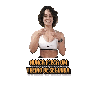 Sleekerbr Freepass2 Sticker by Sleeker