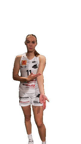 Basketball Bundesliga Sticker by TKH Luchse