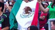 Liga Mx Football GIF by MiSelecciónMX
