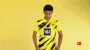 Borussia Dortmund Smiling GIF by Bundesliga