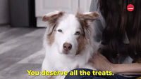 You Deserve All The Treats