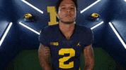 Go Blue College Football GIF by Michigan Athletics