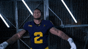 Go Blue Ncaa Football GIF by Michigan Athletics