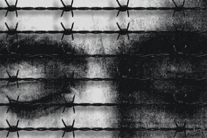 art film GIF by PEEKASSO