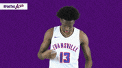 Purple Aces Evansville GIF by UE Athletics