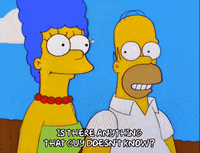 homer simpson wow GIF