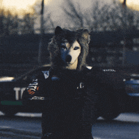 Formula 1 Reaction GIF by Toto
