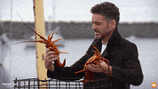 GIF by MasterChefAU