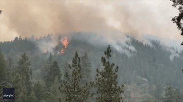 Fire Crews Battle Caldor Fire From the Air as Blaze Grows