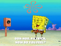 season 6 GIF by SpongeBob SquarePants
