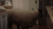 Go Away Love Once And Always GIF by Hallmark Channel