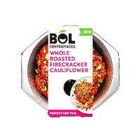 Plant Power Vegan Sticker by Bol Foods