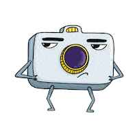 Photography Photo Sticker