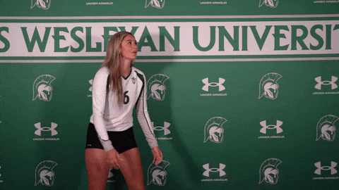 Iwuwvb24 GIF by iwusports