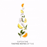 northernterroir wine white wine tus whitewine GIF
