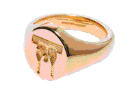 Gold Ring Sticker by Peoples Of All Nations