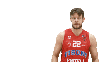 Basketball Hoops Sticker by Basket_fi