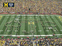 Marching Band Football GIF