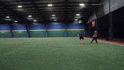 GIF by Hockey Training